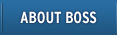 About BOSS